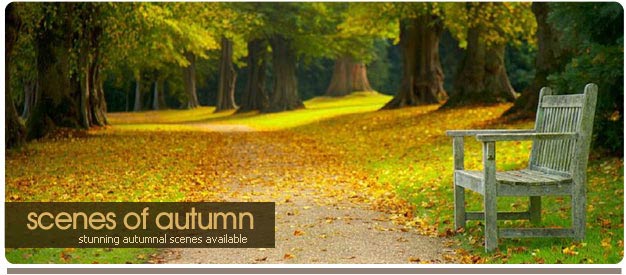 autumn photos of sussex