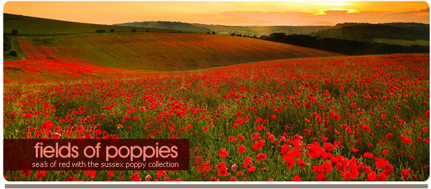 poppy photos sussex