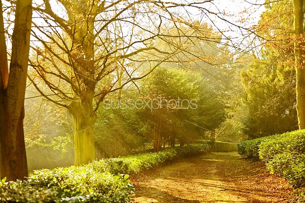 Rousham Gardens Photo