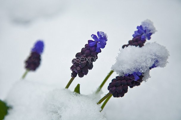 Winter Photo
