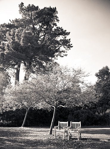 Standen House Photo