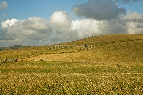 South Downs Photo