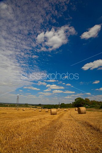 South Downs Photo