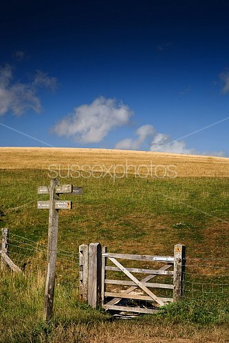 Seven Sisters Photo