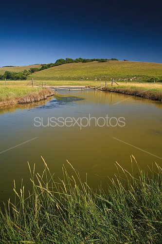 Seven Sisters Photo