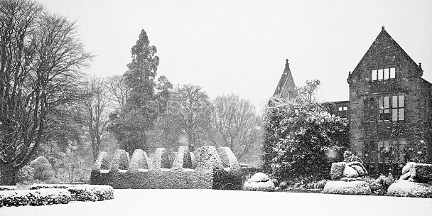 Nymans Gardens Photo