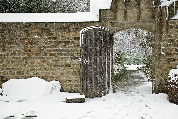 Nymans Gardens Photo