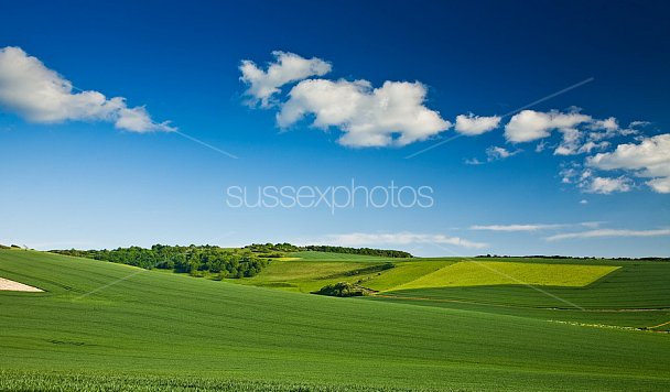 Countryside Photo