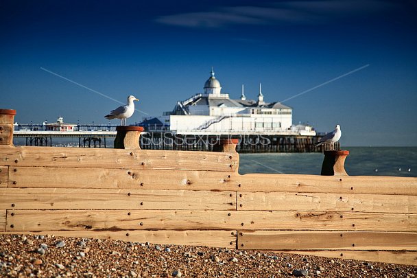 The Piers of Sussex Photo