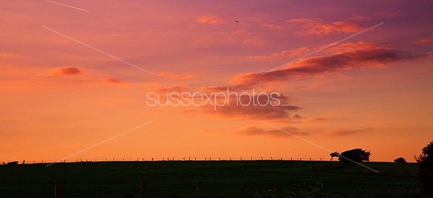 South Downs Photo