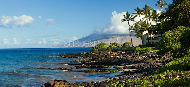 Maui, Hawaii Photo