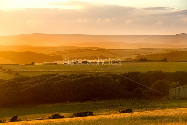 South Downs Photo
