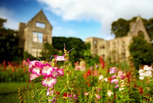 View Nymans Gardens Photos >>