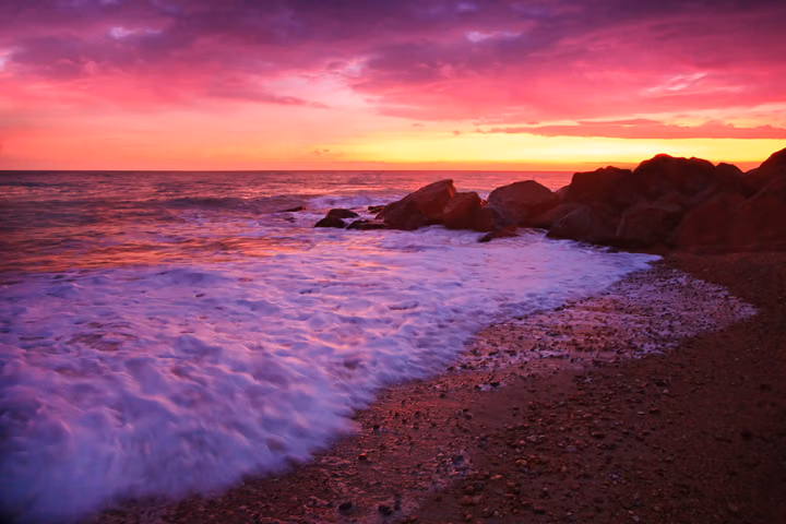 Violet Surf