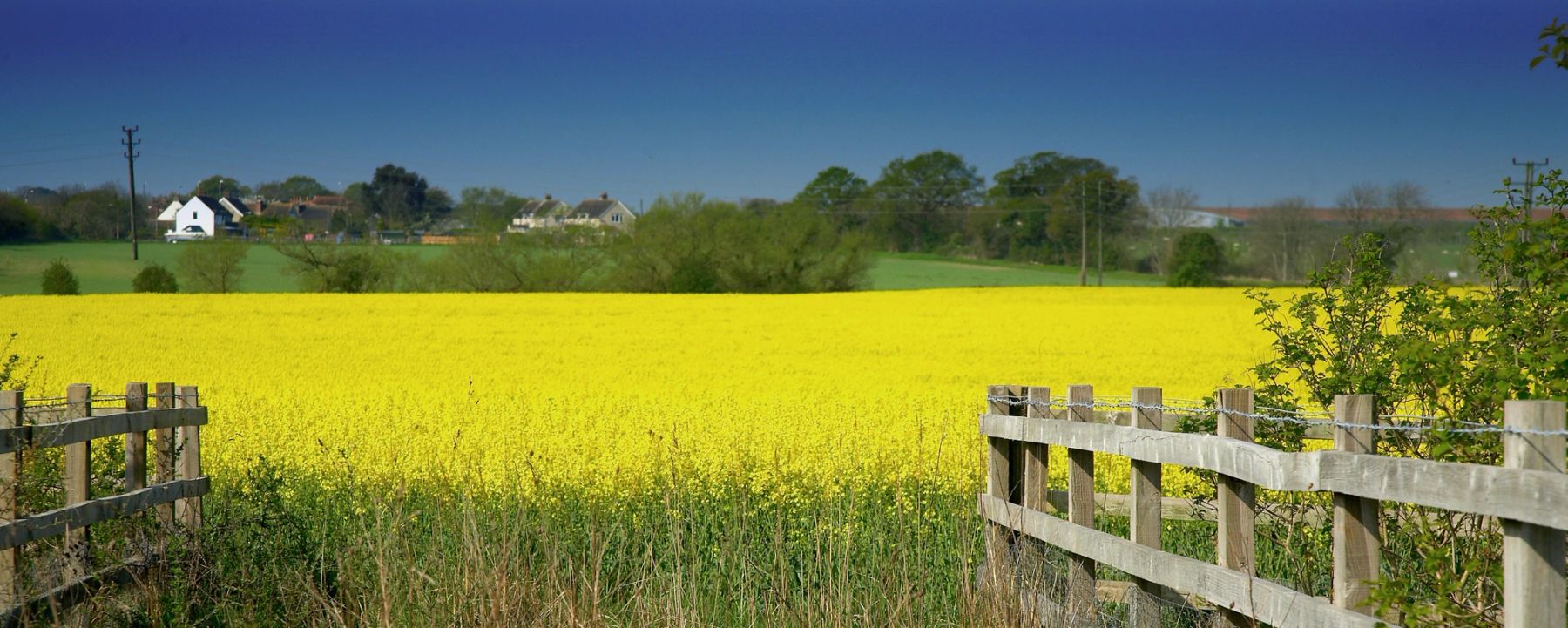 Through the Gate, South Downs