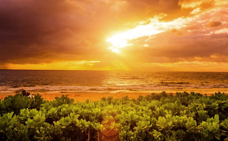 Sun Rays over the Ocean
