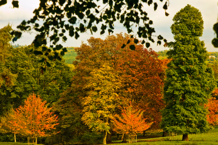 Autumn Arboretum