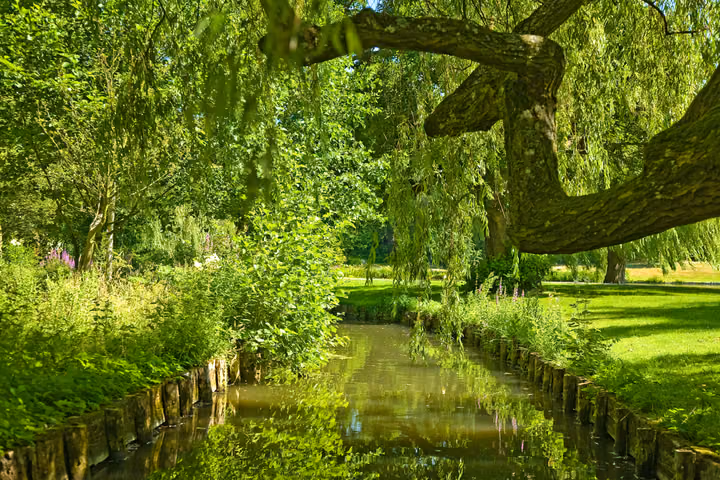 The Willow Stream