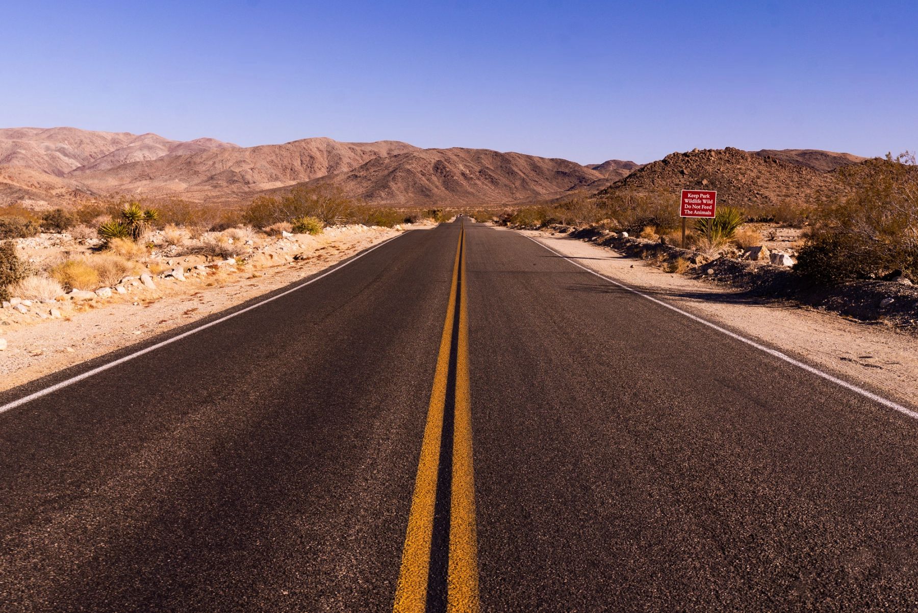 Desert Highway, Joshua Tree, California
