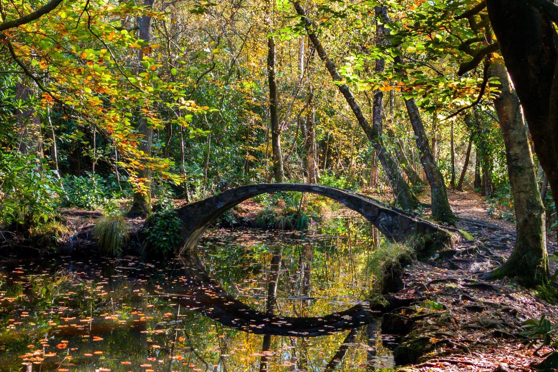The Moon Bridge, Sandgate Park, Storrington