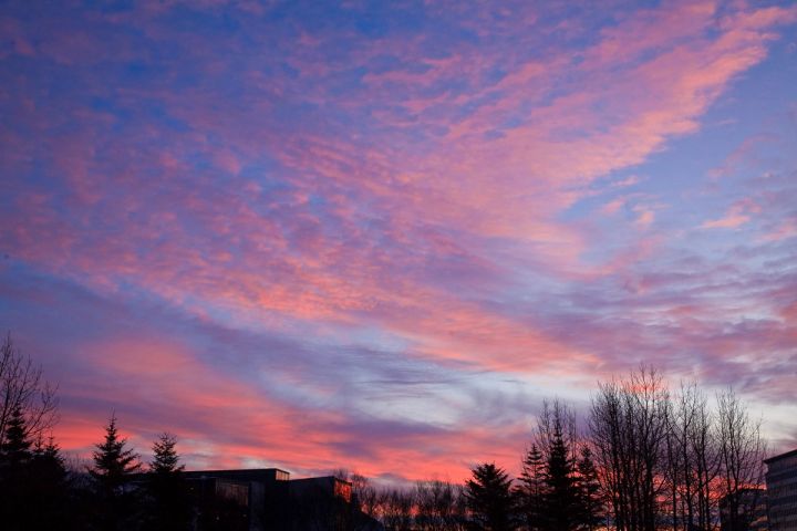 Pink Skies over Reykjavik