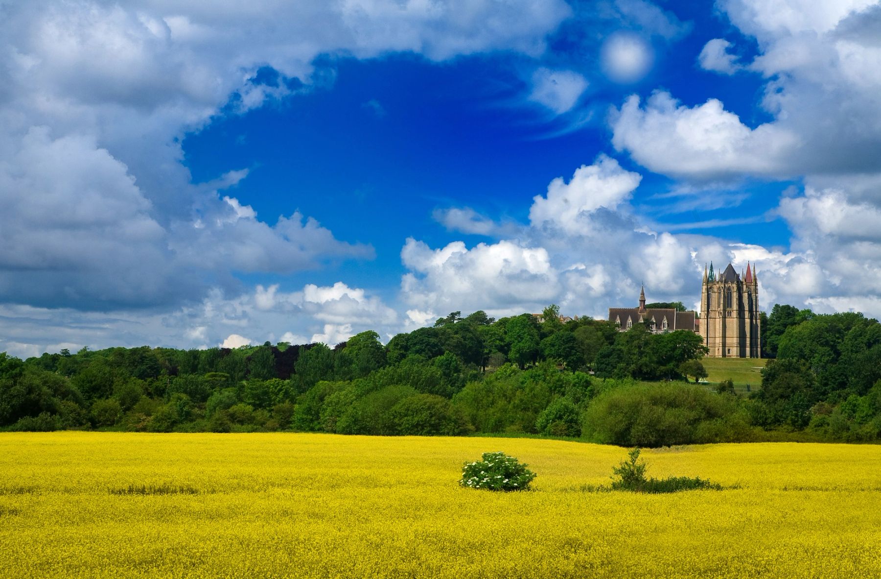 Lancing College above the Rapeseed, Lancing