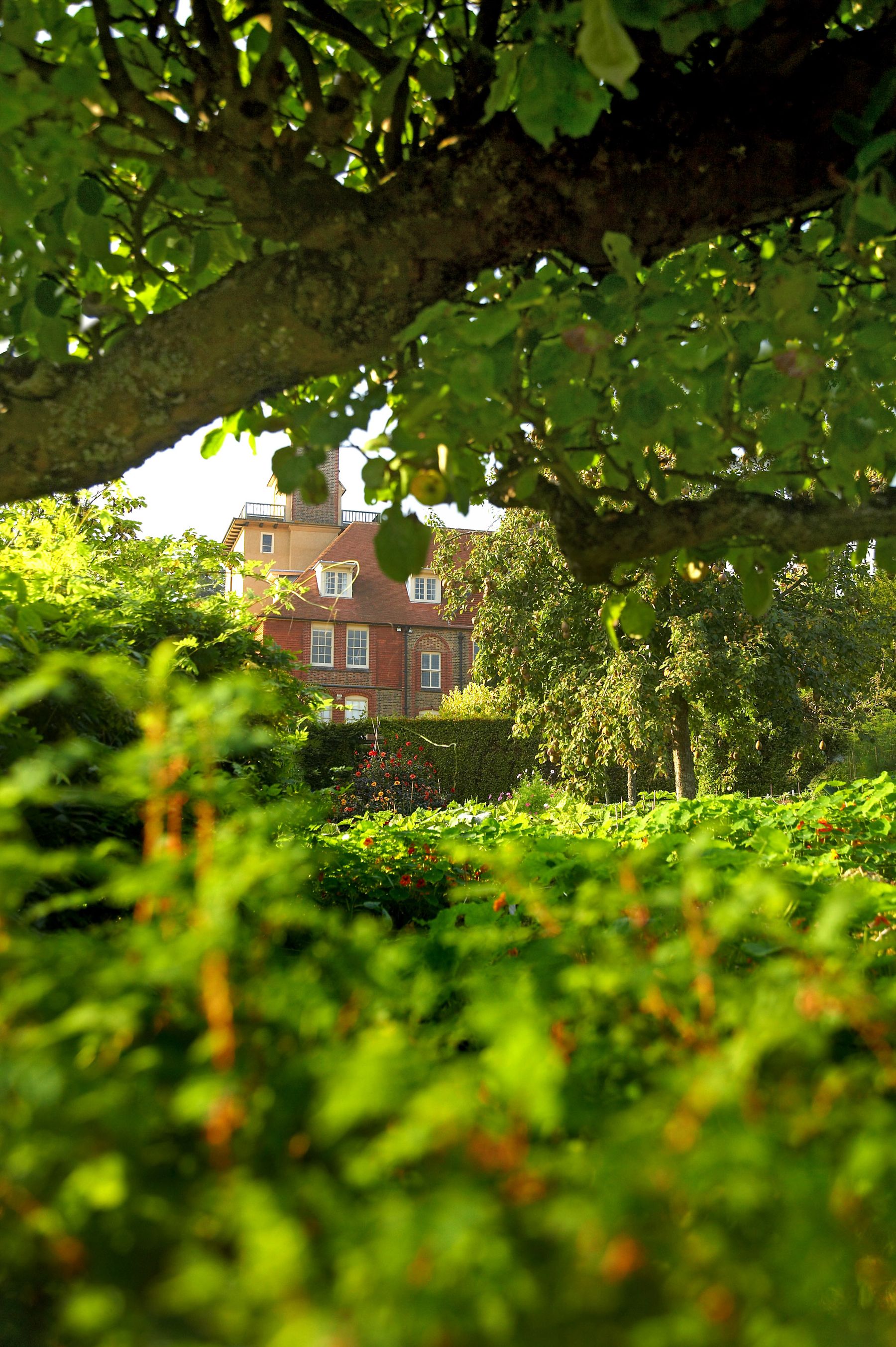 Garden View to the House, East Grinstead
