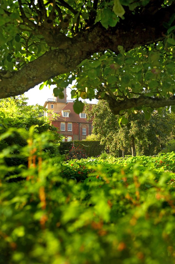 Garden View to the House