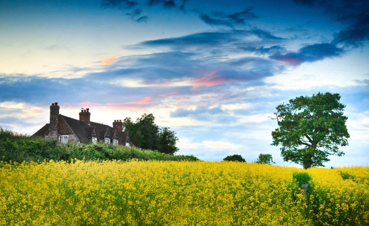 Farmhouse and Oak