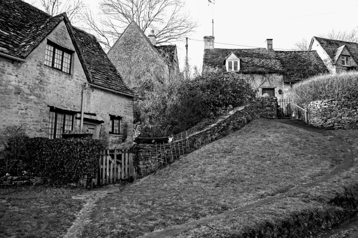 Up the Lane