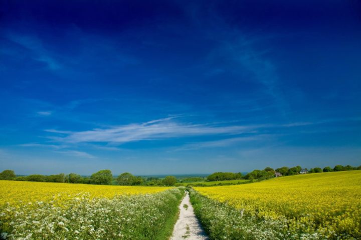 Chalk Track to the Sea