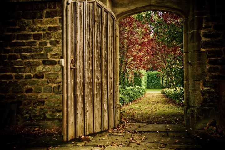 Through the Wooden Gate