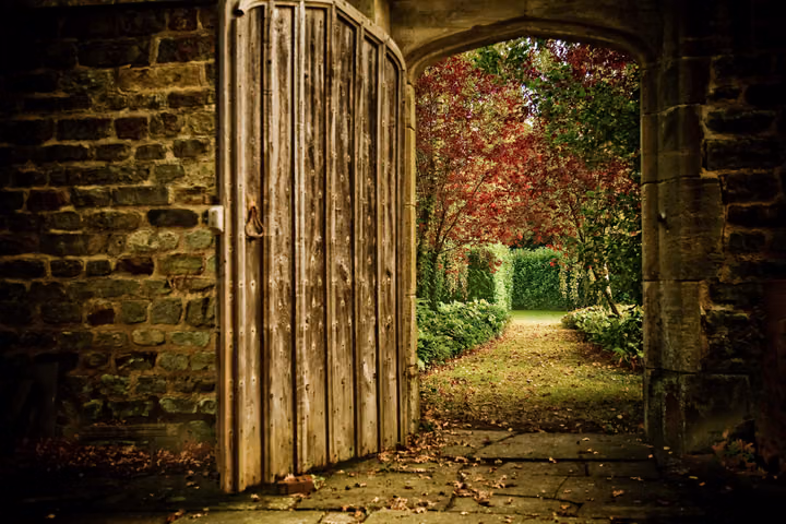 Through the Wooden Gate