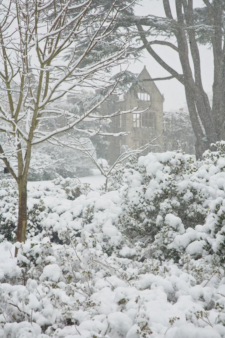 Snow Garden and Ruins