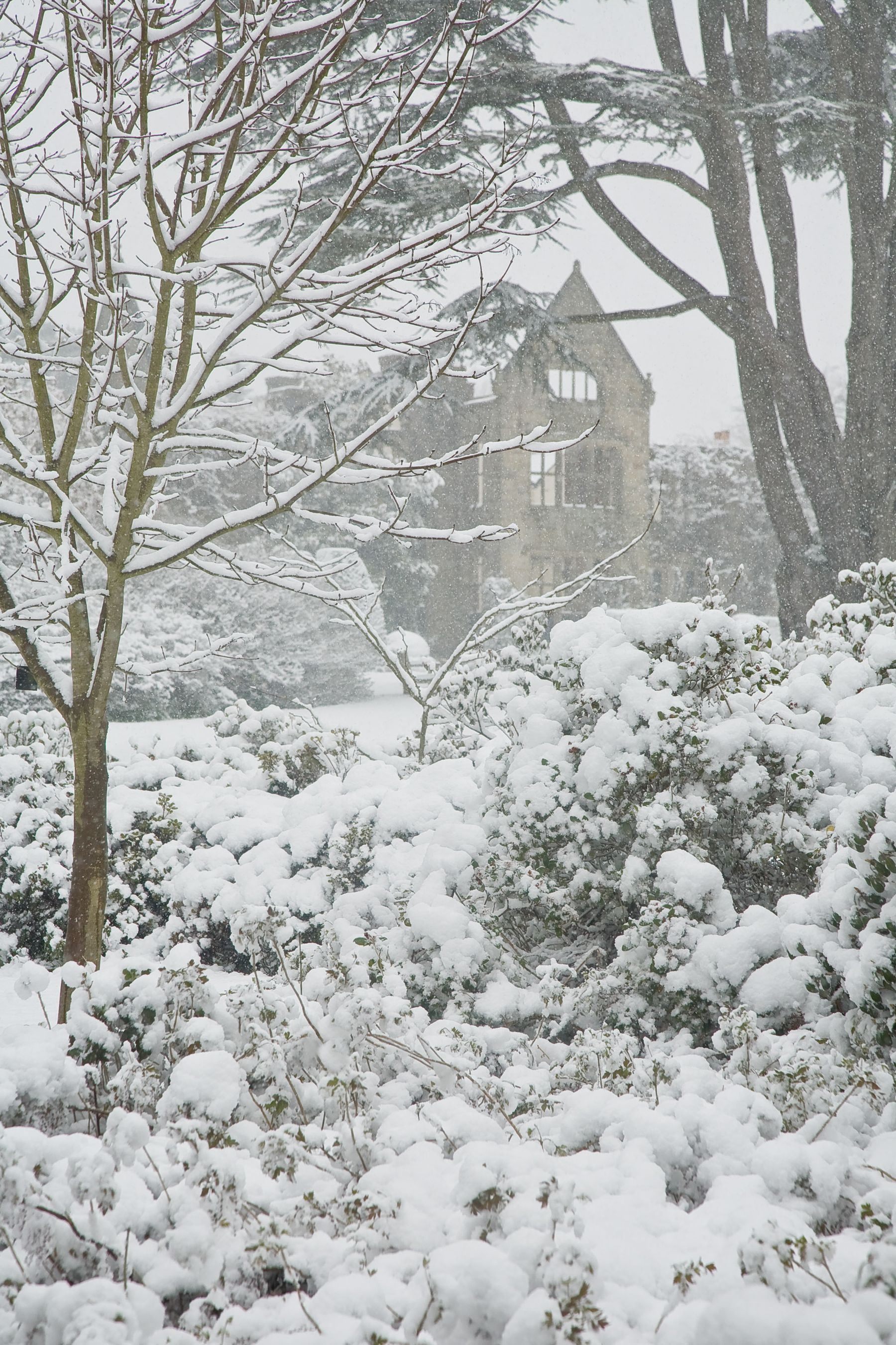 Snow Garden and Ruins, Handcross, West Sussex