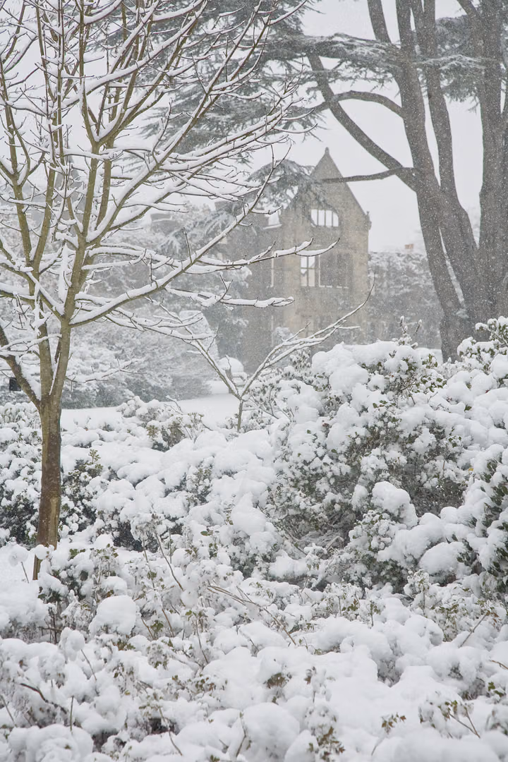 Snow Garden and Ruins