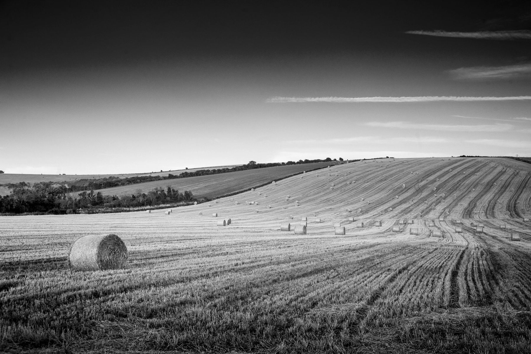 Harvest Lines in Black and White, Sussex
