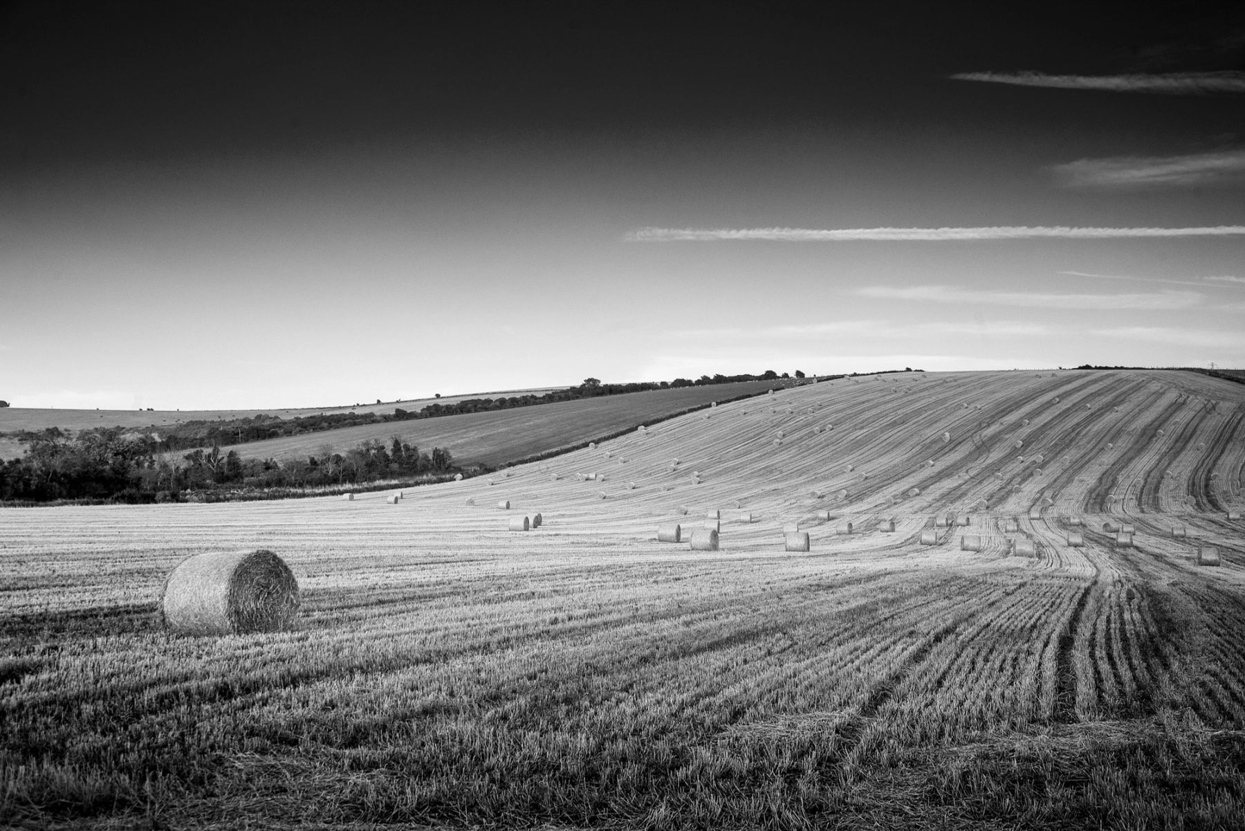 Harvest Lines in Black and White, Sussex