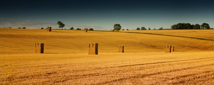 Square Bales at Dusk