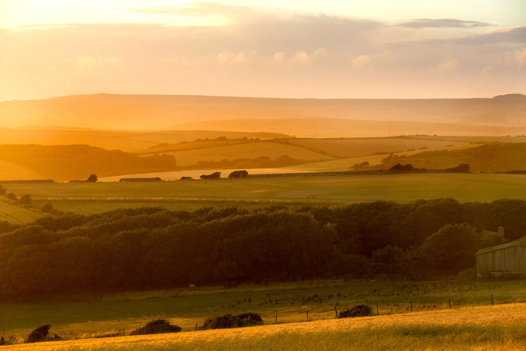 Golden Downland Evening, South Downs