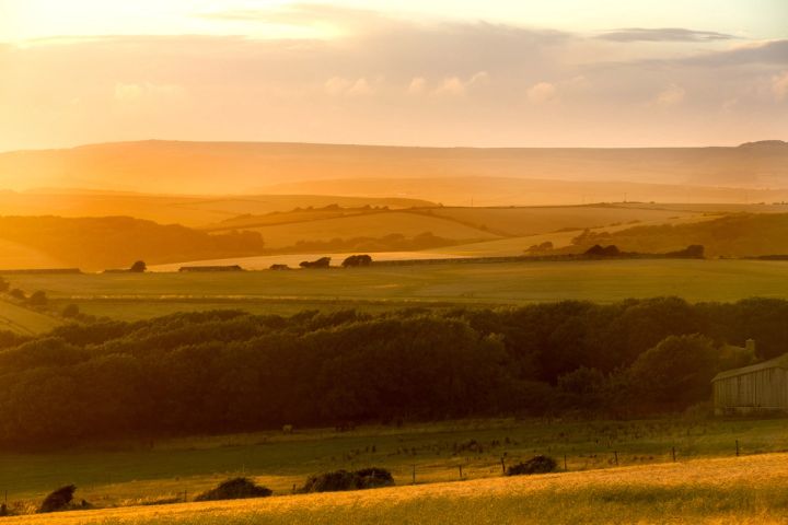 Golden Downland Evening