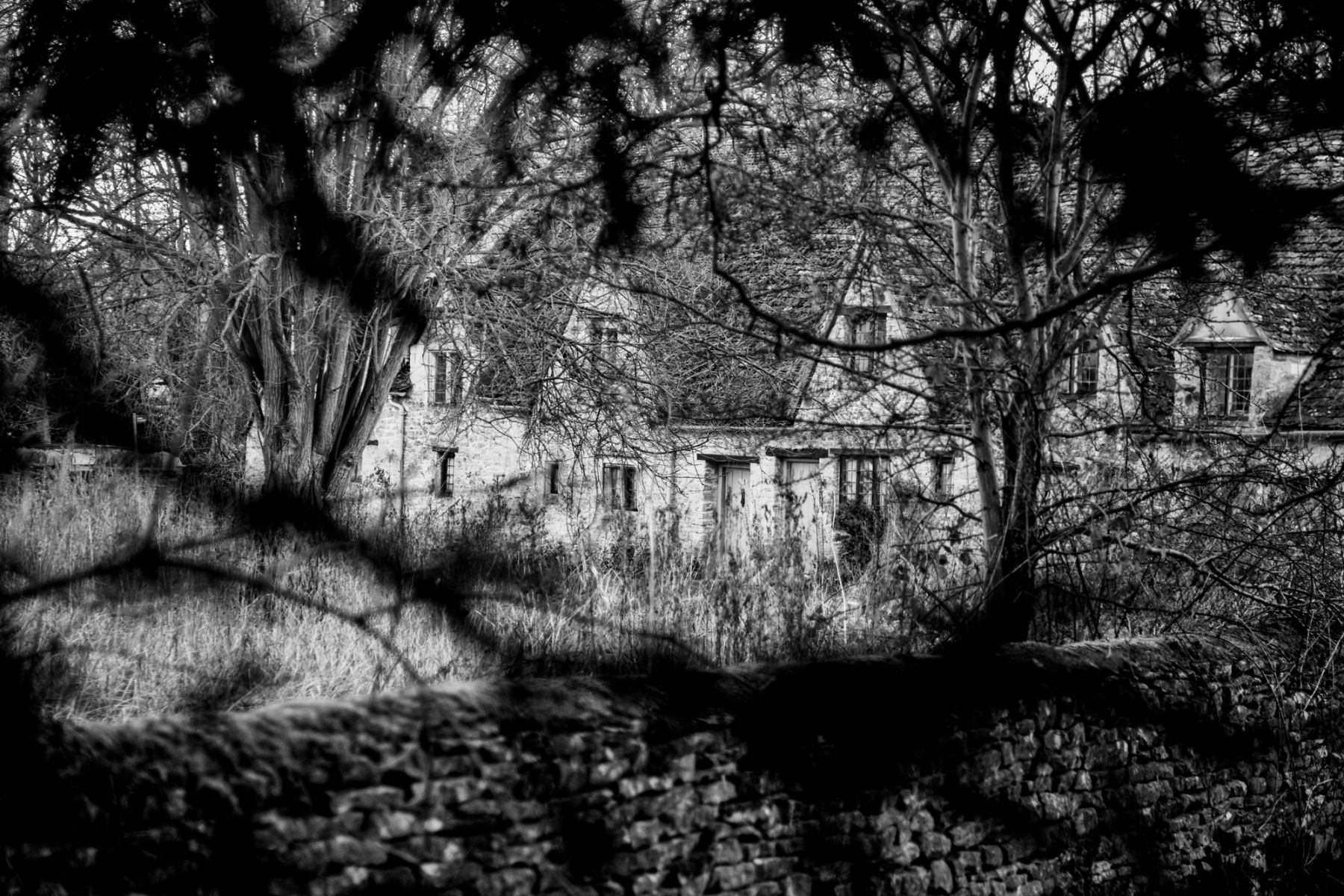 Through the Branches, Bibury, Gloucestershire