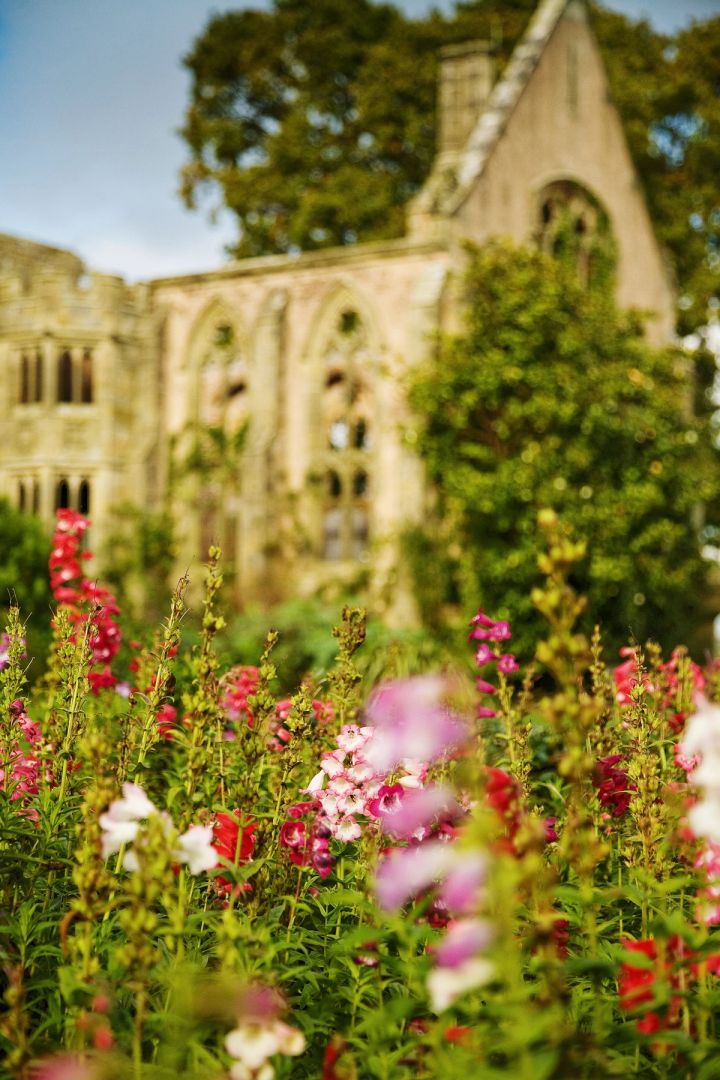 Gothic Windows and Summer Flowers