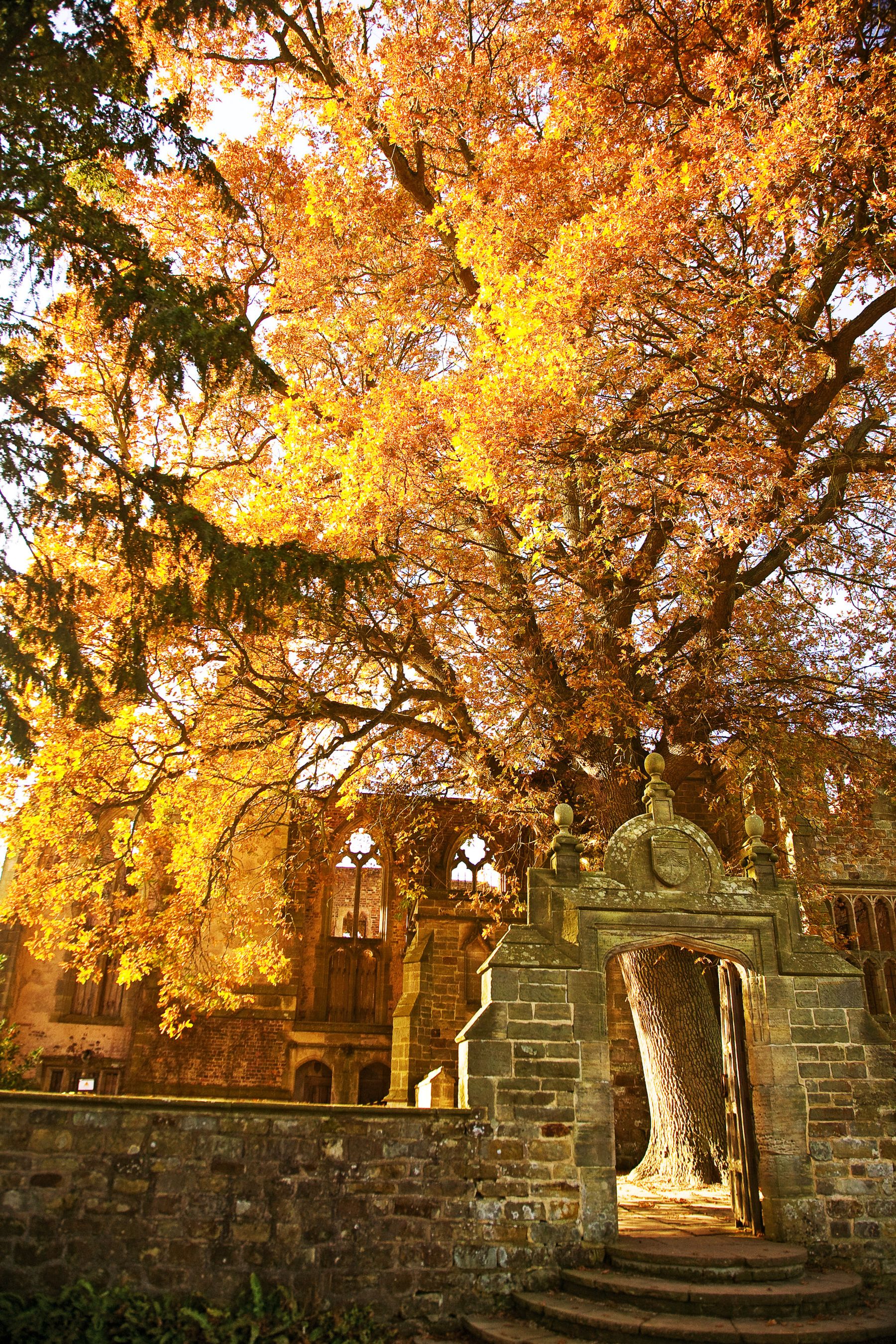 Autumn Gateway, Handcross, West Sussex