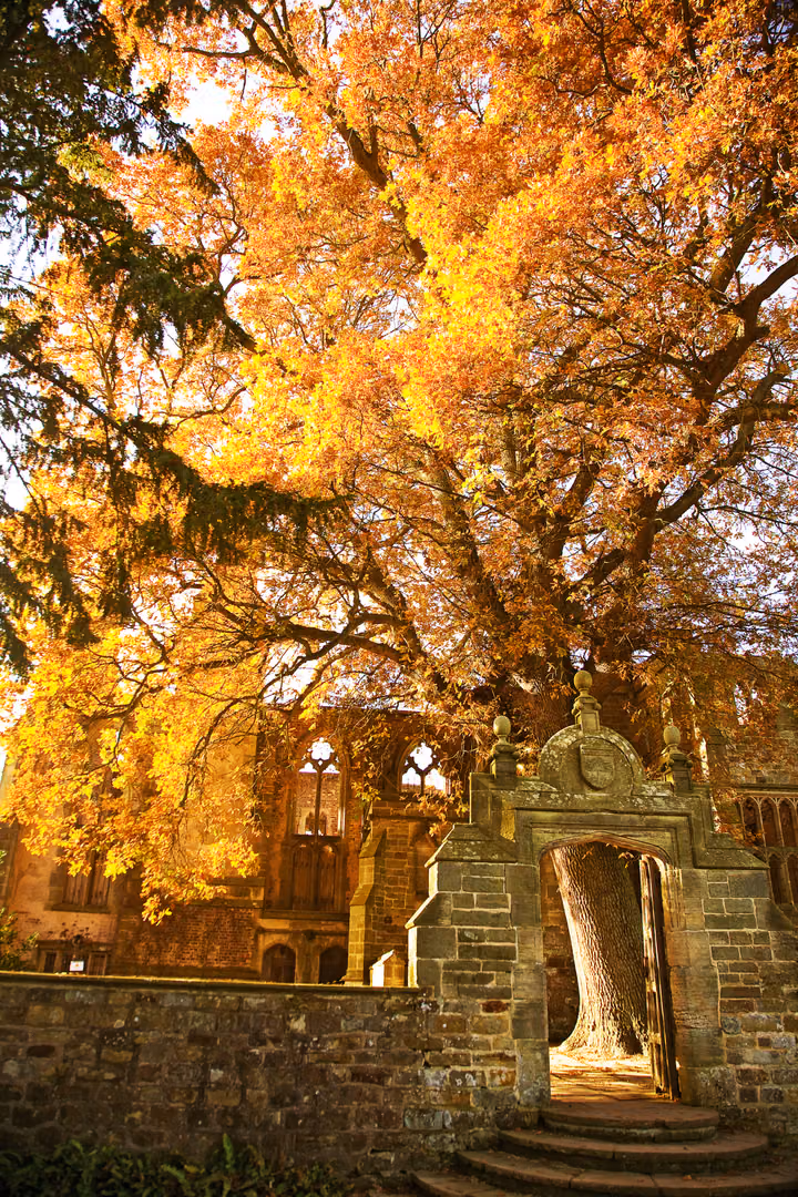 Autumn Gateway