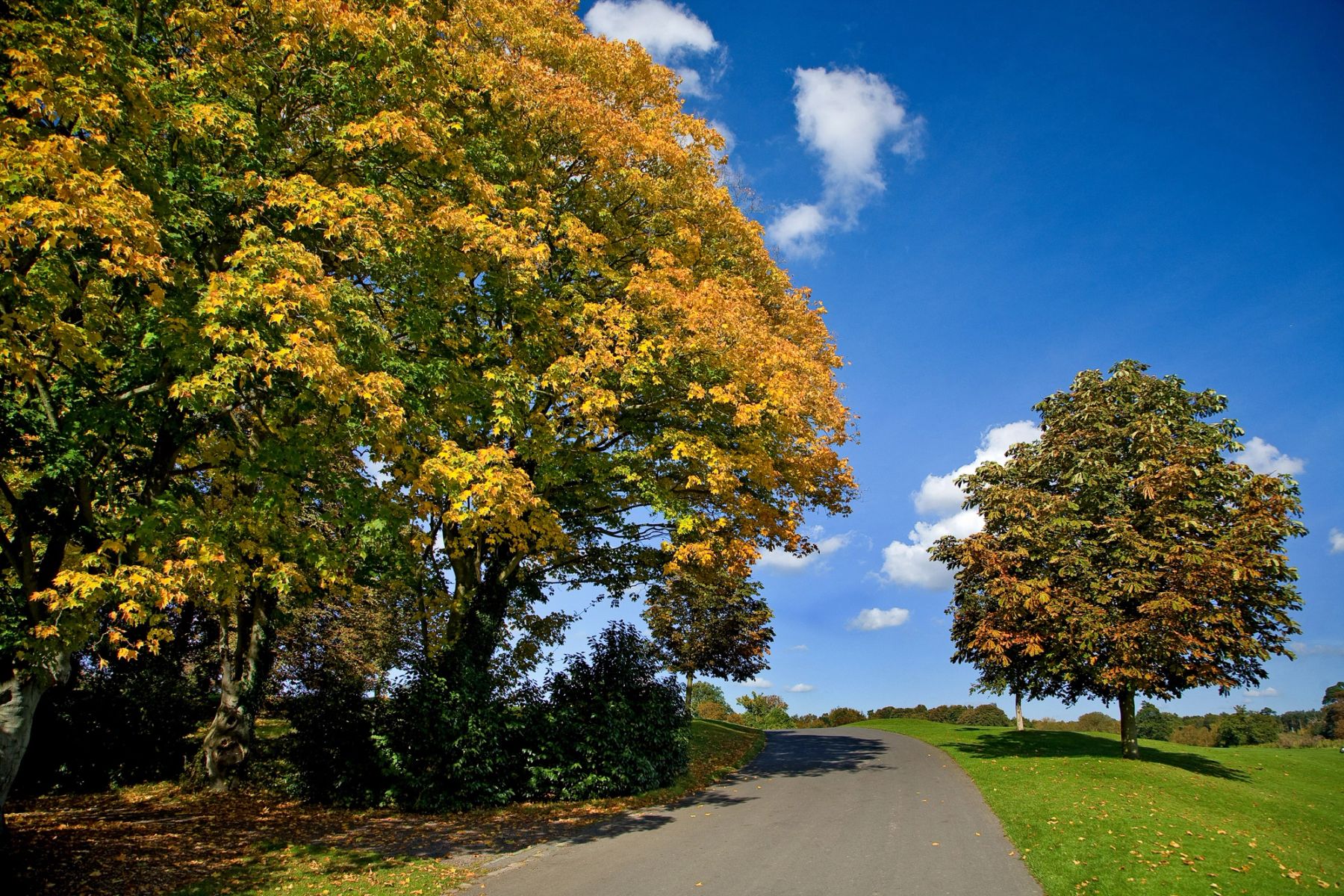The Autumn Drive, Maidstone, Kent