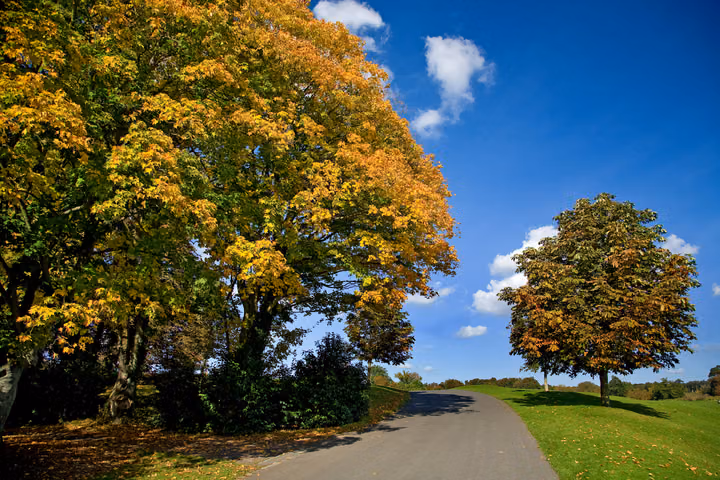 The Autumn Drive