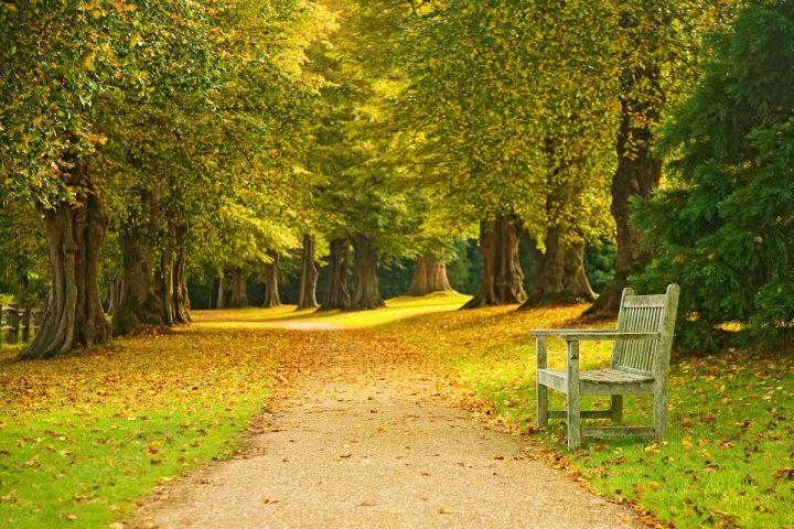 The Avenue Bench