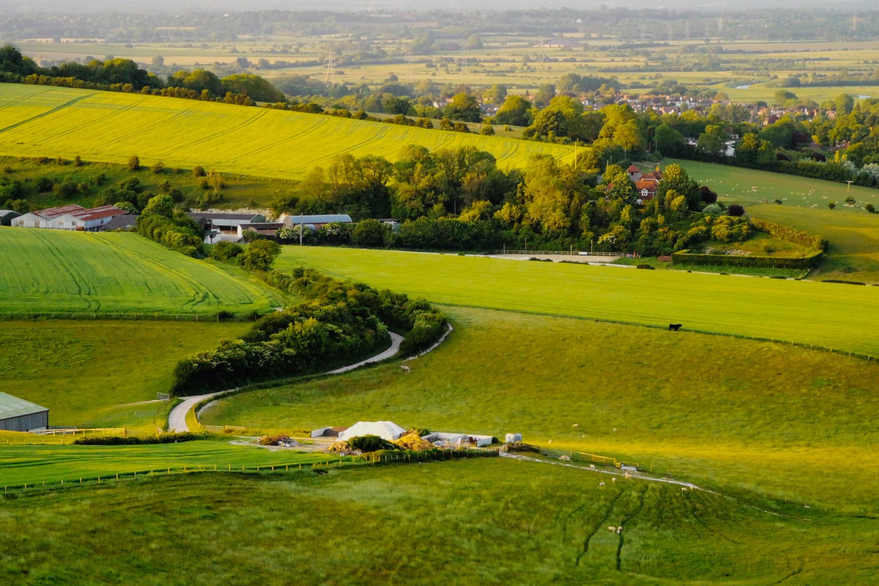 The Valley Farm, South Downs