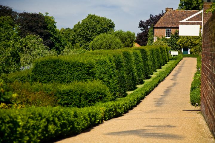 The Hedged Walk